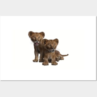 Lion cubs Posters and Art